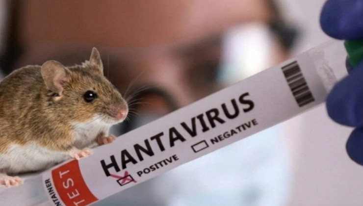 “İNSANLAR BU ƏRAZİLƏRDƏN UZAQ DURSUNLAR” – Hantavirusa yoluxmamaq üçün nə etməliyik?