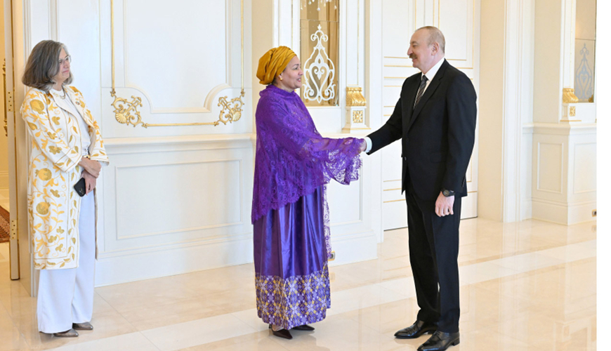 Prezident Quterreşin müavinini qəbul etdi - Fotolar