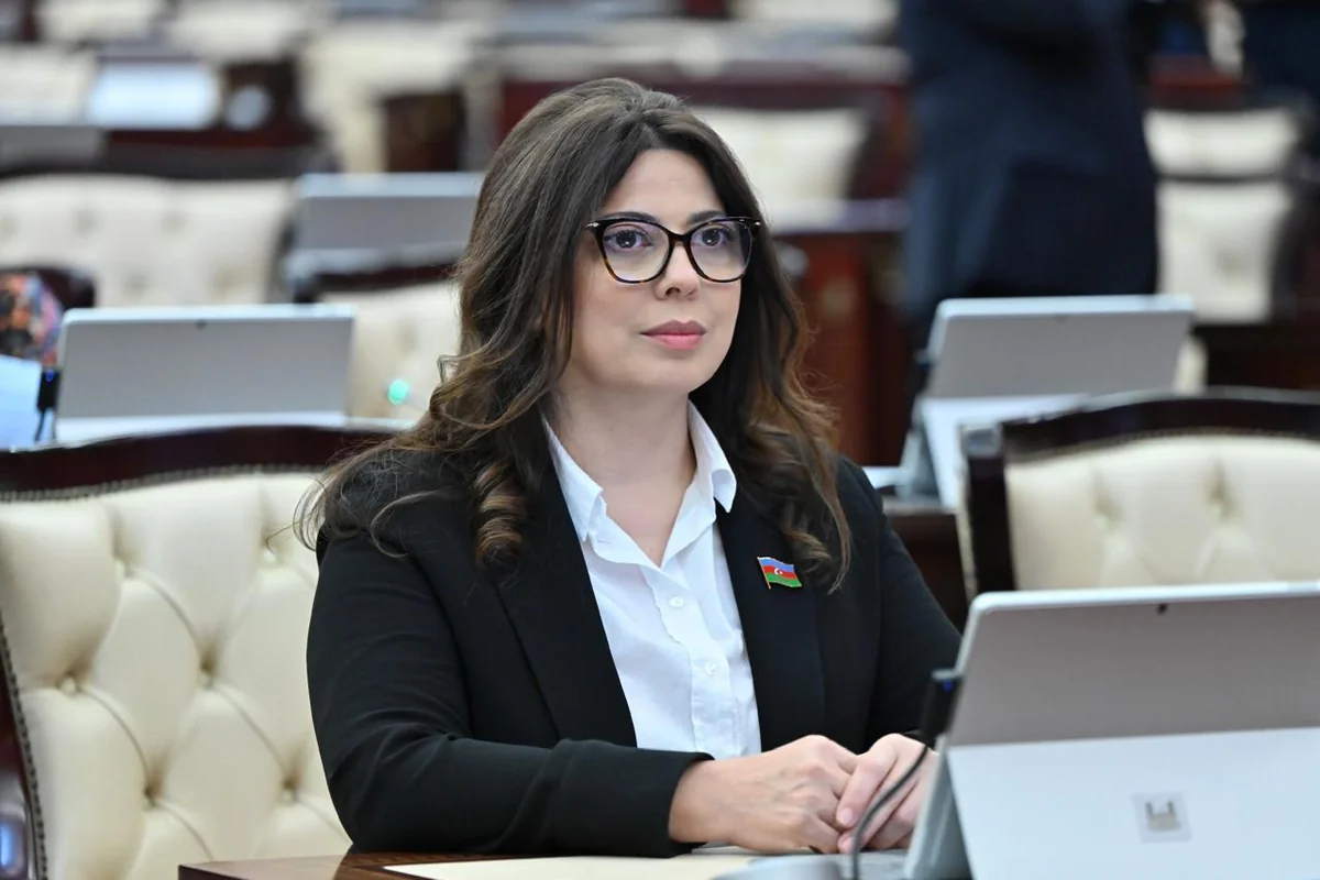 Səbinə Salmanova: Mina təhlükəsi azad olunan ərazilərin bərpa prosesini ləngidir