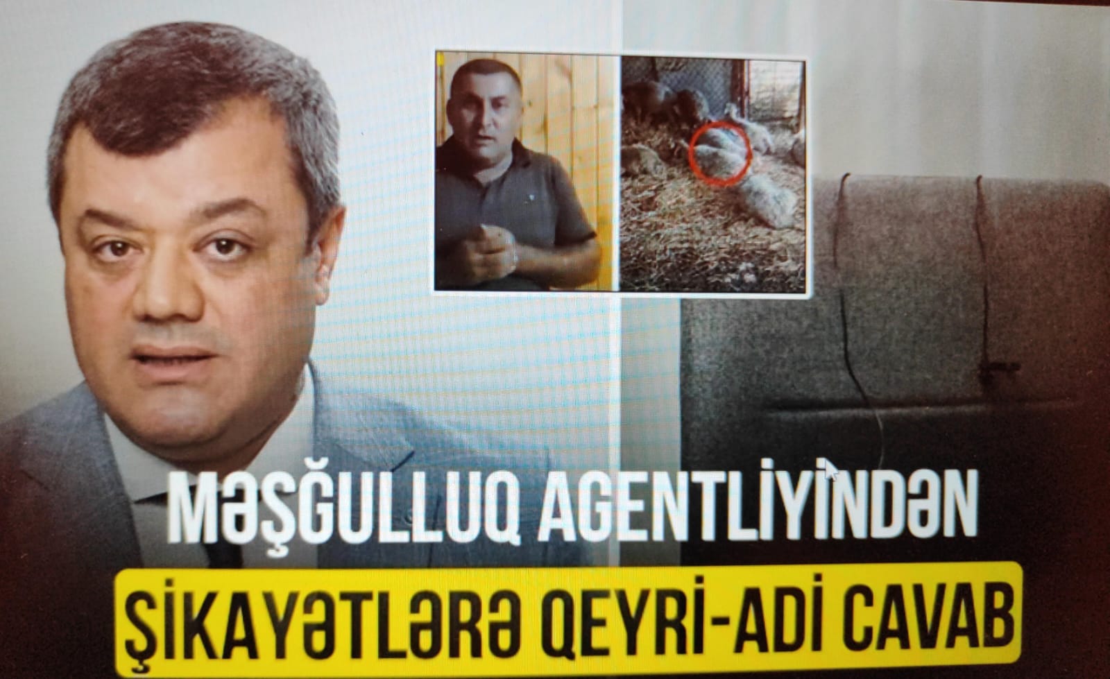 Məşğulluq agentliyindən şikayətlərə qeyri-adi cavab - VİDEO