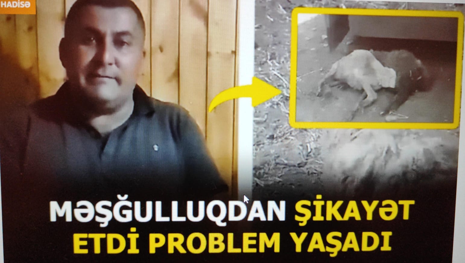 Məşğulluqdan şikayət etdi PROBLEM YAŞADI - VİDEO