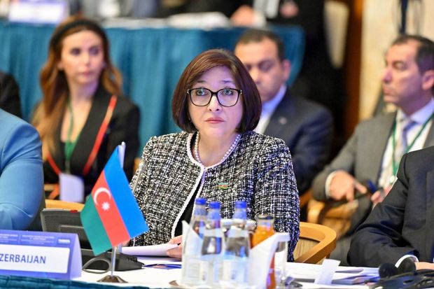 Sahibə Qafarova: “Bu il azad edilmiş ərazilərdə yenidənqurma işlərinə 1,7 milyard dollar ayrılacaq”
