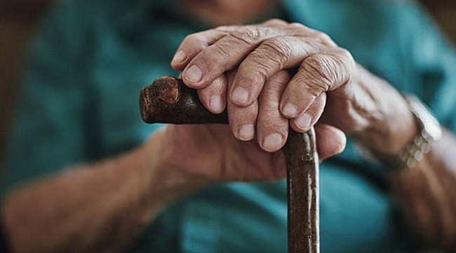 Bərdədə 43 ağacı 86 yaşlı kişi kəsib? - "Yaza bilmirəm, mənə qol çəkdirdilər..."