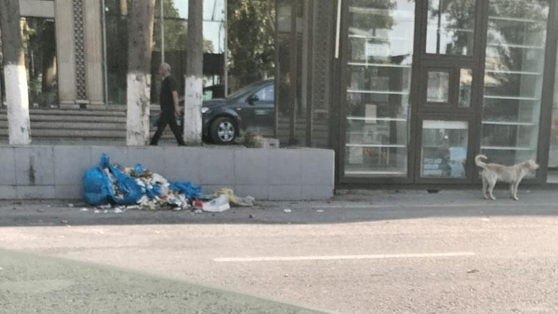 Göyçayda antisanitariya sakinləri ayağa qaldırdı: “Koronavirusdan da betər xəstəliklər yayıla bilər”