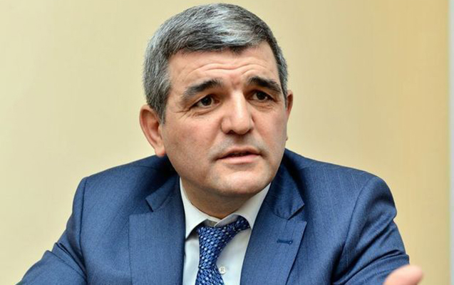 Fazil Mustafa: “Küçə itlərinin həmin ölkələrə göndərilməsi təklifi real və doğru deyil”  