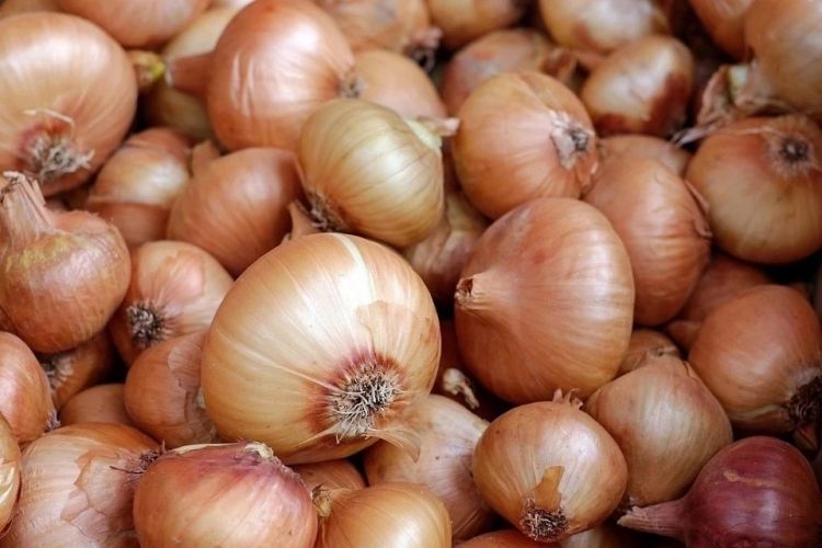 Rusiyada soğanın qiyməti rekord qırdı