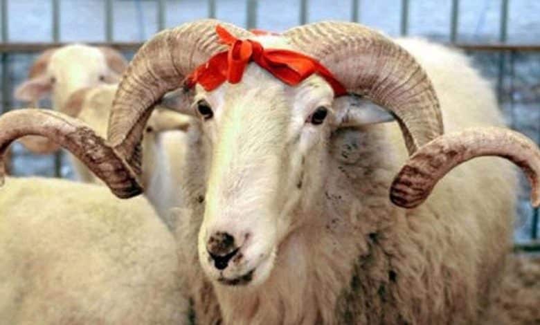 Bu gün Azərbaycanda Qurban bayramıdır