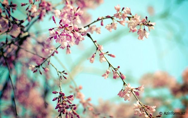 Sabah hava necə olacaq? – PROQNOZ