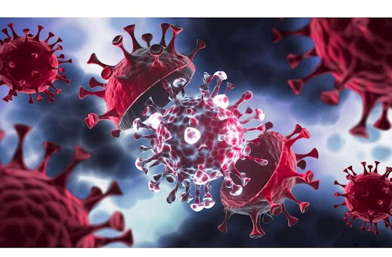 Azərbaycanda yeni virus təhlükəsi: Həkim xəbərdarlıq etdi