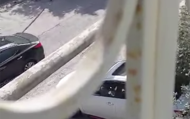 Diləndirildiyi iddia edilən uşaqların valideyni sığınacağa hücum çəkdi - Video
